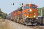 BNSF 7002 East